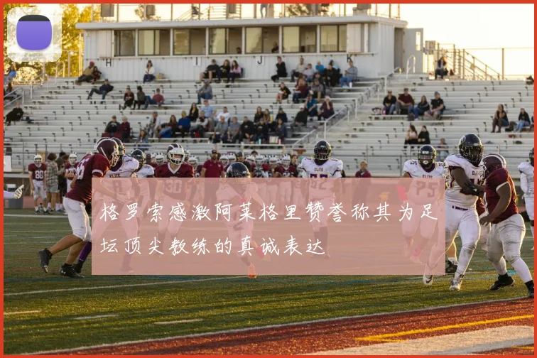 格罗索感激阿莱格里赞誉称其为足坛顶尖教练的真诚表达